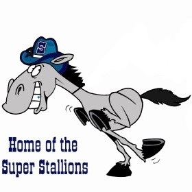 Saddleback Stallion